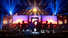 Senidah koncert Stožice