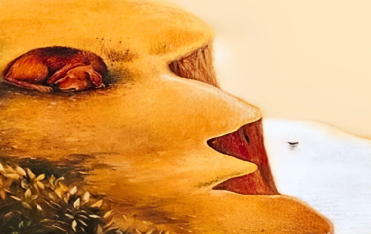 Profil moškega Če ste najprej opazili profil moškega, so vaši glavni življenjski cilji povezani z ustvarjanjem globokih, pristnih odnosov in …