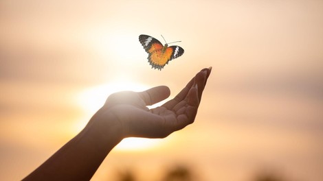 Dar, ki ostane – zakaj se Slovenci redko opredelimo za darovanje organov?