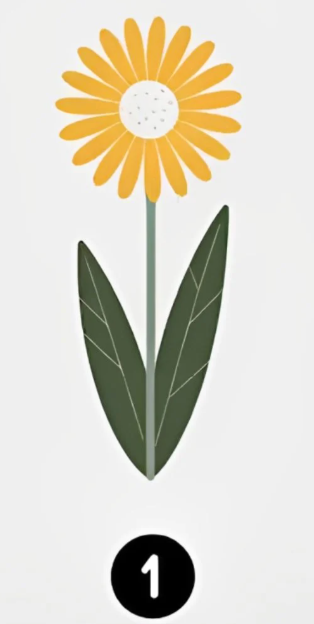 Sončnica 1 Če vas pritegne prva sončnica, ste odprtega in družabnega značaja. V vsakem prostoru zasijete kot sončnica pod poletnim …