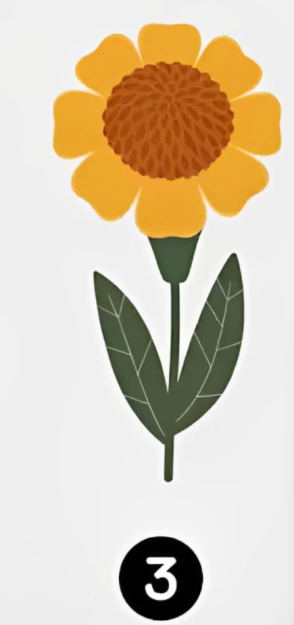 Sončnica 3 Če vas je očaral tretji cvet, ste svobodni duh z raziskovalno naravo. Ne sledite množici - vi si …