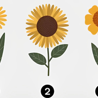 Katera sončnica vam je najbolj všeč? Psihološki test, ki razkriva, kdo ste v resnici