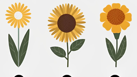 Katera sončnica vam je najbolj všeč? Psihološki test, ki razkriva, kdo ste v resnici