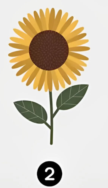 Sončnica 2 Če ste izbrali drugi cvet, to kaže, da cenite ravnovesje in mir. Radi imate preprostost in pristnost. V …