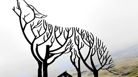 Kaj najprej vidite na sliki? Nenavaden test, ki razkriva vaše posebne lastnosti