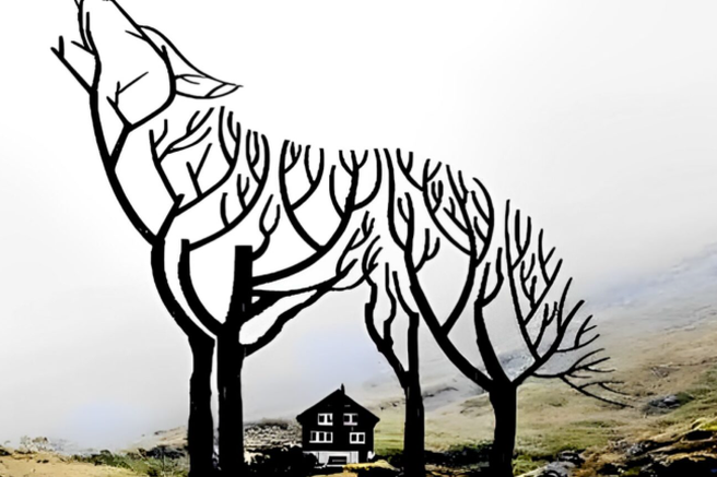 Kaj najprej vidite na sliki? Nenavaden test, ki razkriva vaše posebne lastnosti