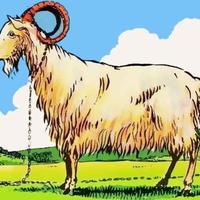 Ta slika ima napako, ki jo opazi le redkokdo: če ste jo našli v 5 sekundah, ste genij