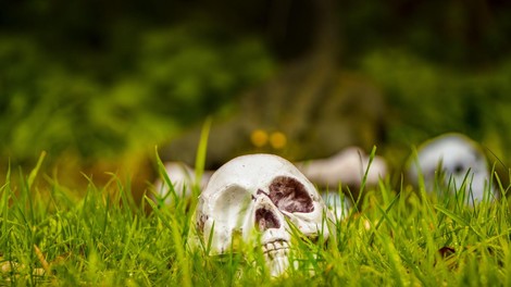 arheologija okostje lobanja 6000 let najdba clovestvo zgodovina lev napad zival