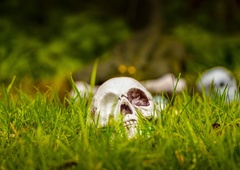 Arheologi odprli grob in obstali v smrtni tišini: starodavno okostje razkrilo presunljivo zgodbo, ki spreminja naš pogled na človeštvo