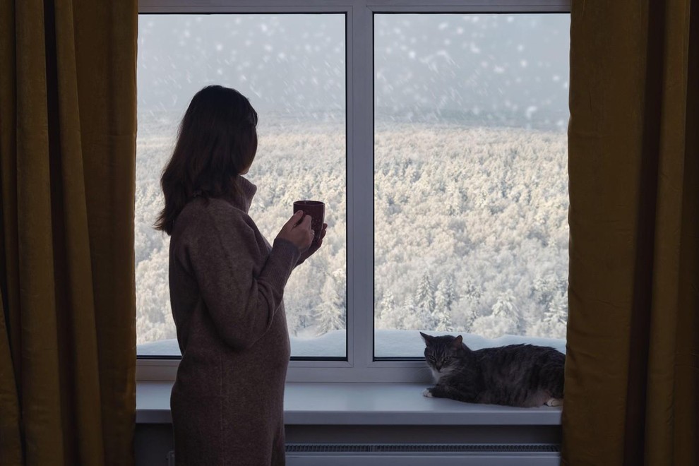 Dvojčka Dvojčka sta znak gibanja, komunikacije, druženja in stalne miselne spodbude. Pozimi, ko se življenje upočasni, dnevi postanejo krajši, ljudje …