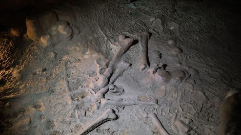 kosti zgodovina arheologija italija incest clovestvo odkritje jama