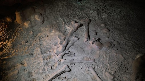 Ko so preučili 3700 let stare kosti, jih je obšla huda slabost: pred očmi oživel srhljiv dogodek, ki se ne bi smel zgoditi