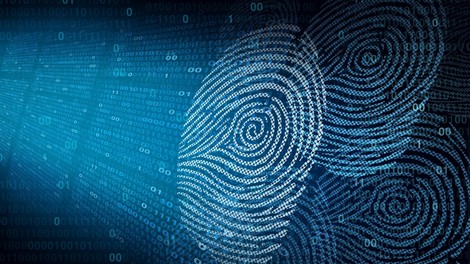 prstni odtis skandinavija zgodovina arheologija odkritje baltik ladja clovestvo preteklost