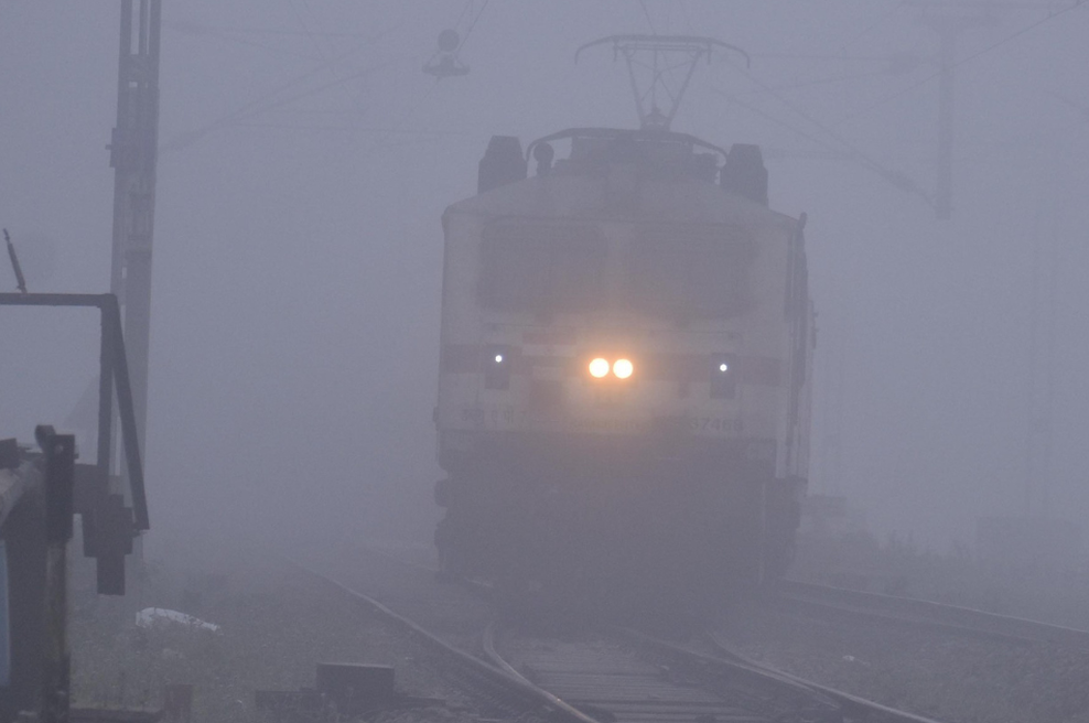 Hudo trčenje vlaka s čredo mogočnih živali: na kraju nesreče našteli sedem žrtev (foto: Profimedia)