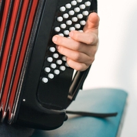 harmonika trubaci protest ljubljana shod slovenija glasba muzkontarji