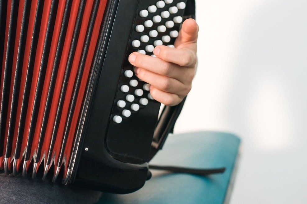 Slovenskim harmonikarjem zaradi trubačev počil film: prekipelo jim je, zdaj prihajajo v Ljubljano, oglasila se je policija (foto: Profimedia)