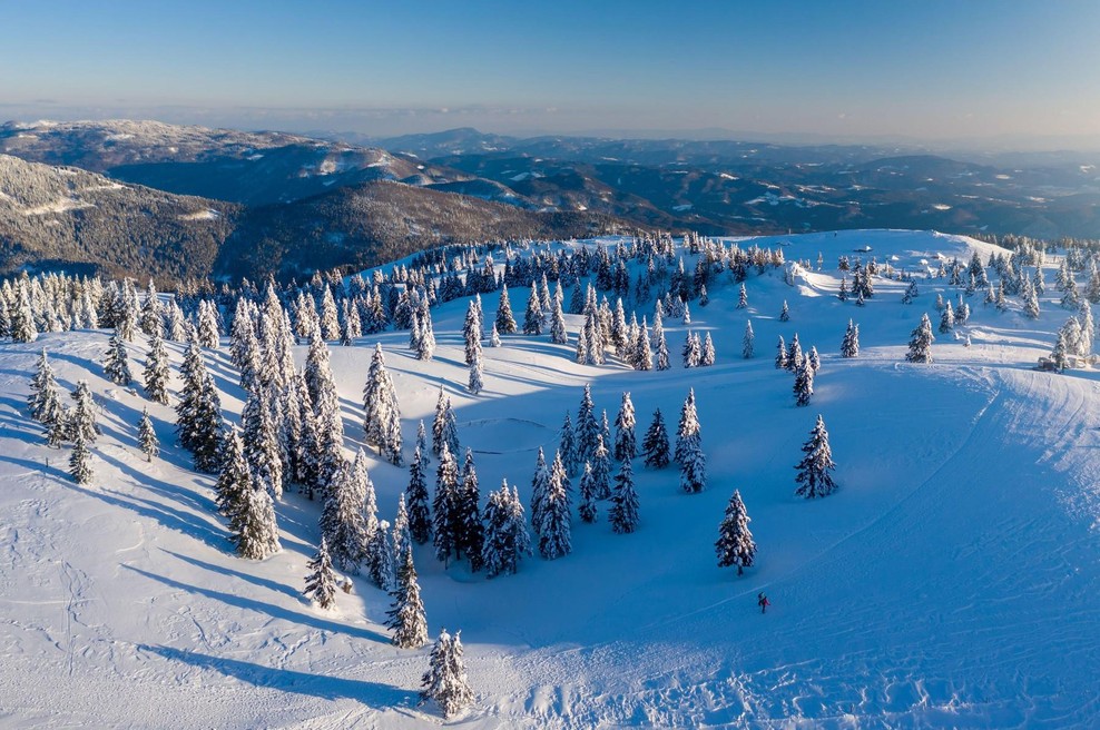 V Sloveniji obstaja gozd, ki zapoje, turisti ga obožujejo – to ni izlet, to je vrnitev k sebi! (foto: Profimedia)