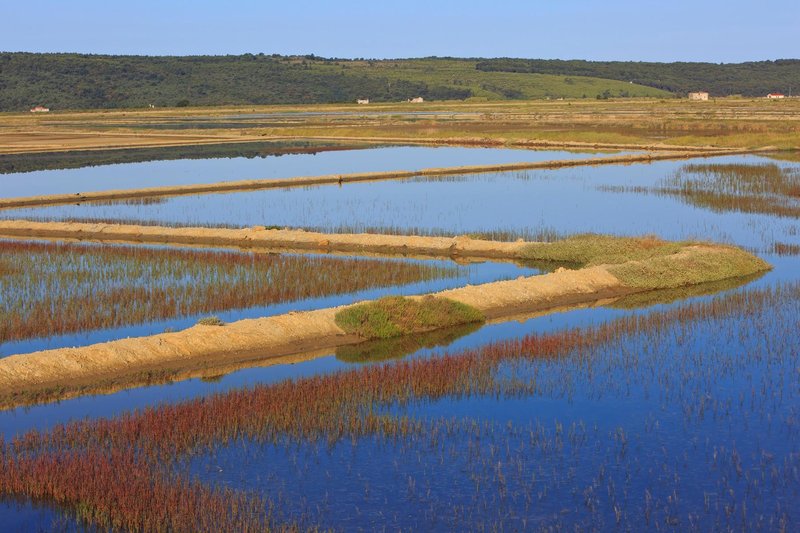 Sečovlje naravni park