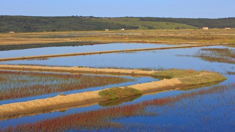 Sečovlje naravni park