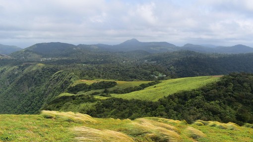 Arheologi brskali po travišču, ko so se zgolj spogledali v nejeveri: osupljiva najdba, ki ki ni podobna ničemur doslej