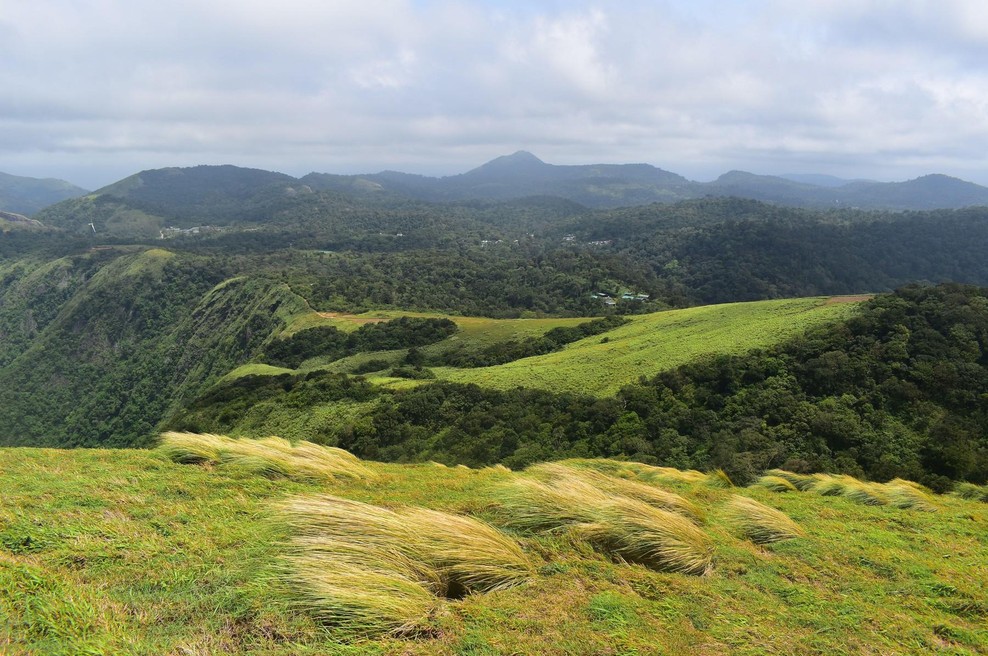 Arheologi brskali po travišču, ko so se zgolj spogledali v nejeveri: osupljiva najdba, ki ki ni podobna ničemur doslej (foto: Profimedia)