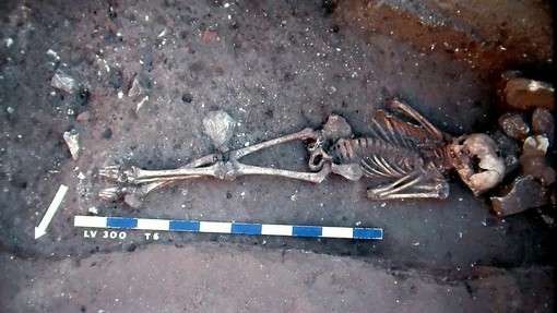 Je bila pandemija, ki je smrt trosila kot gospa s koso, zgolj velika prevara?! Strokovnjaki postregli z osupljivo resnico