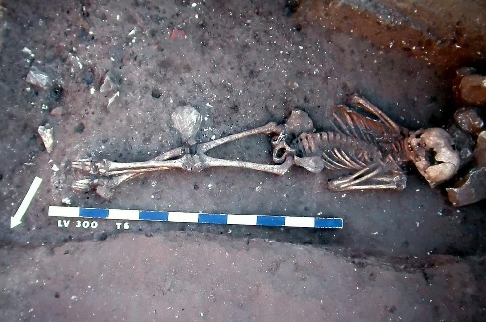 Je bila pandemija, ki je smrt trosila kot gospa s koso, zgolj velika prevara?! Strokovnjaki postregli z osupljivo resnico (foto: Profimedia)