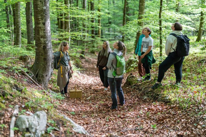 gozd poje Hike and Bike Slovenija