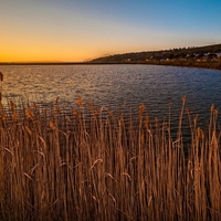 Secovlje krajinski park