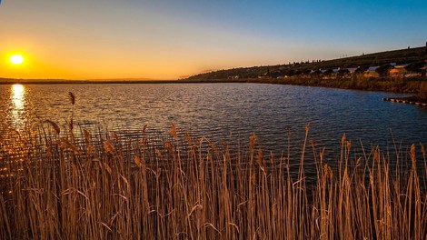Secovlje krajinski park