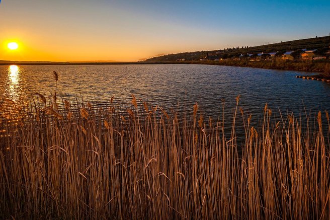 Secovlje krajinski park
