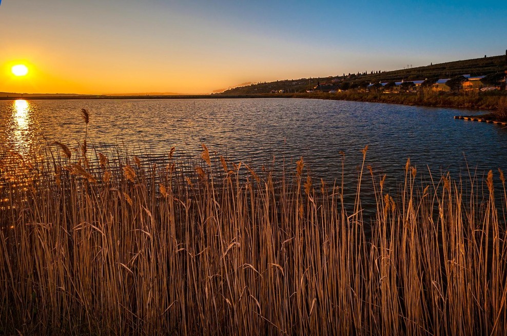 Slovenski obmorski park letos spet priča neverjetnemu prizoru, prvič so opazili celo ... (foto: Profimedia)