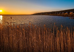 Slovenski obmorski park letos spet priča neverjetnemu prizoru, prvič so opazili celo ...