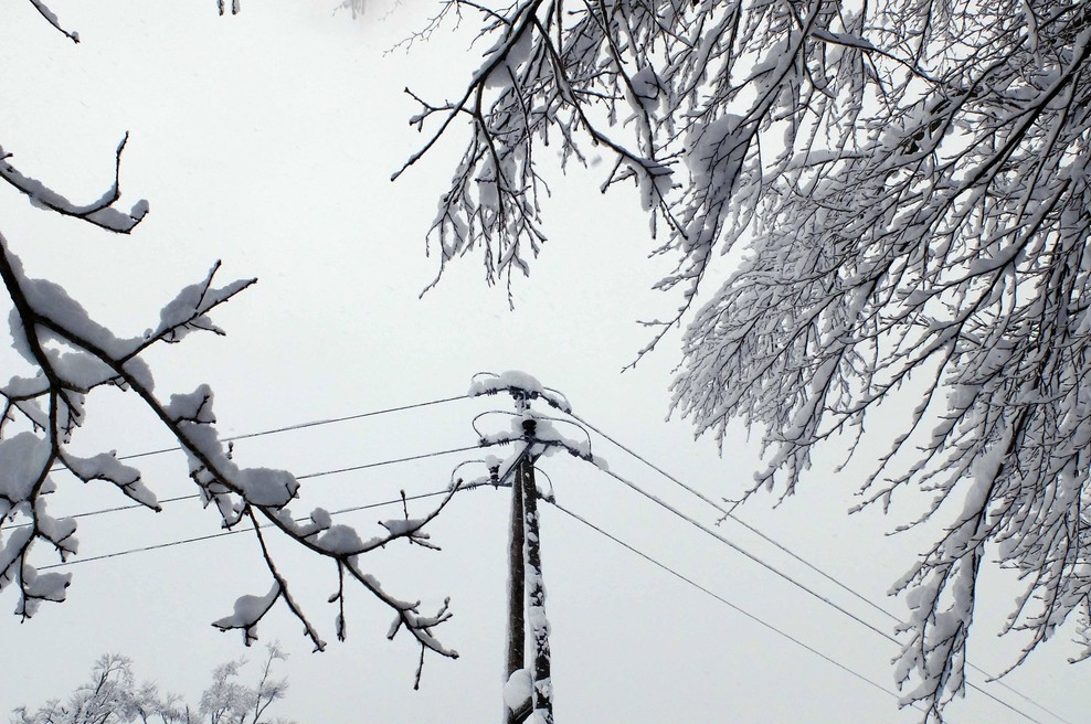 Elektro Maribor vse, ki so ostali brez elektrike, razveselil z dobro novico (foto: Srdjan Živulovič/Bobo)