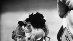 Brigitte Bardot