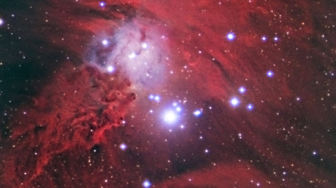 NGC 2264