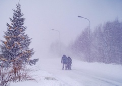 Po Evropi pustošilo grozljivo neurje: umrli trije ljudje, prizadetih na desettisoče gospodinjstev