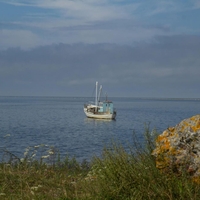 jadran jadransko morje ribici ribolov sardele kriza tezave hrvaska italija