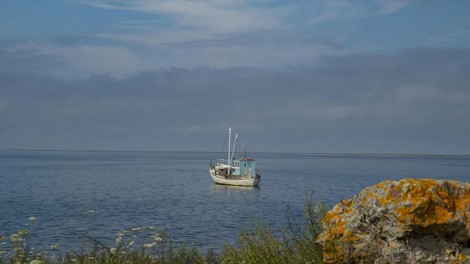jadran jadransko morje ribici ribolov sardele kriza tezave hrvaska italija