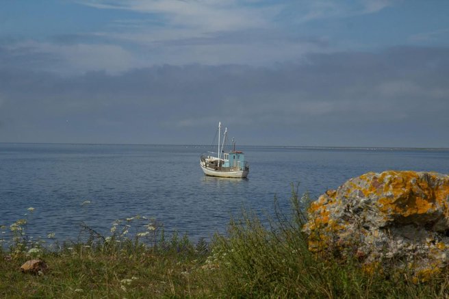 jadran jadransko morje ribici ribolov sardele kriza tezave hrvaska italija