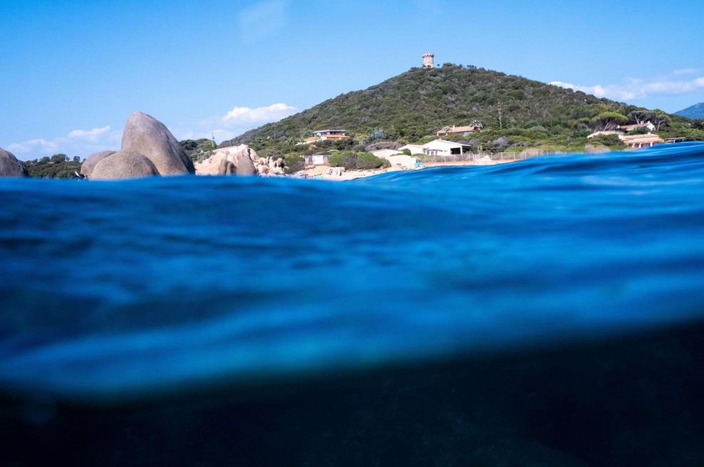 V Sredozemskem morju se dogaja nekaj skrb vzbujajočega (zaskrbljeni so tudi znanstveniki) (foto: Profimedia)