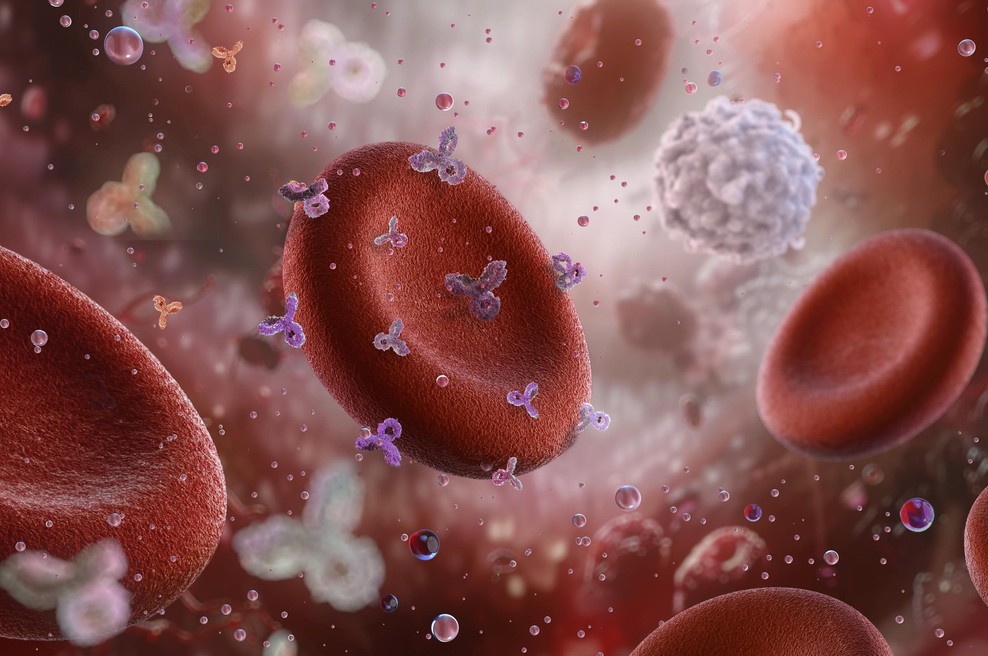 Največ ljudi, ki dočakajo 100 let, ima to krvno skupino (foto: Profimedia)