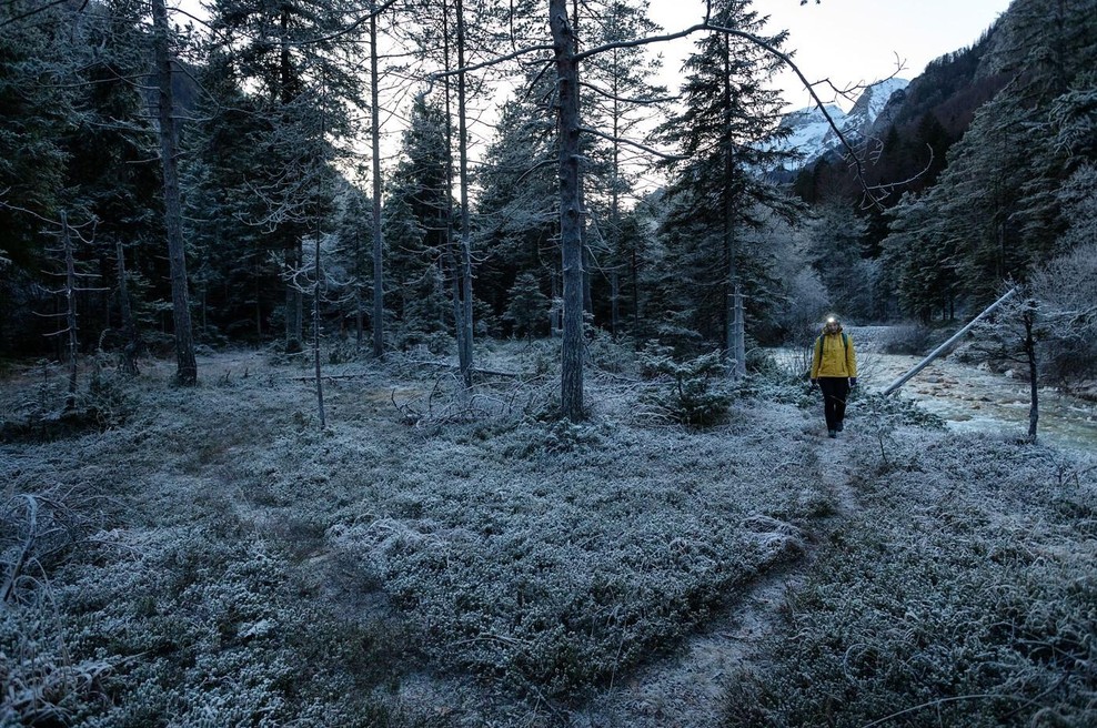 Lovec preživel napad 200-kilogramske zverine, pri tem pa mu je pomagal nasvet njegove babice, ki se ga je spomnil sredi prave grozljivke (foto: Profimedia)