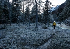 Lovec preživel napad 200-kilogramske zverine, pri tem pa mu je pomagal nasvet njegove babice, ki se ga je spomnil sredi prave grozljivke