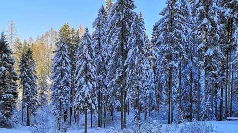 jezero Kreda Mojstrana