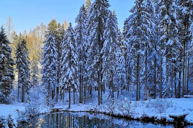 jezero Kreda Mojstrana