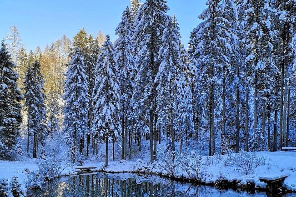 Idilično slovensko jezero sredi gozda - govori se, da ima zdravilne učinke (foto: kranjska-gora.si)