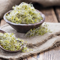 Drobno, pogosto spregledano živilo, ki ga morate nujno vključiti v svojo rutino: za vašo presnovo bo to pravi čudež