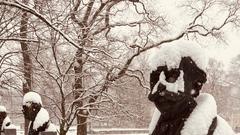 Sneg pobelil prestolnico: takšno idilično Ljubljano smo danes ujeli na sprehodu po mestu (FOTO)