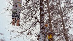 Sneg pobelil prestolnico: takšno idilično Ljubljano smo danes ujeli na sprehodu po mestu (FOTO)